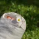 Pied dans le plâtre pendant un arrêt de travail